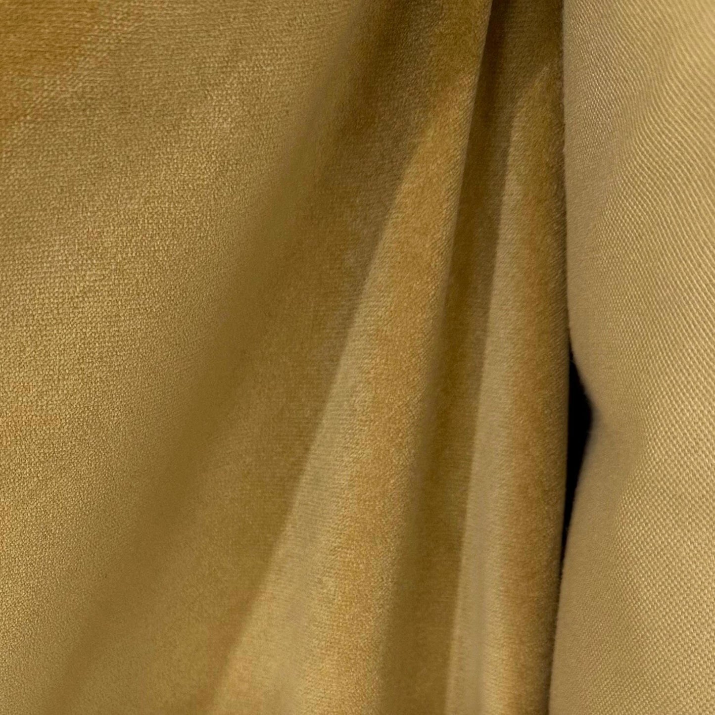 Golden Cotton Velvet Fabric- Mustard Gold Velveteen by the Yard