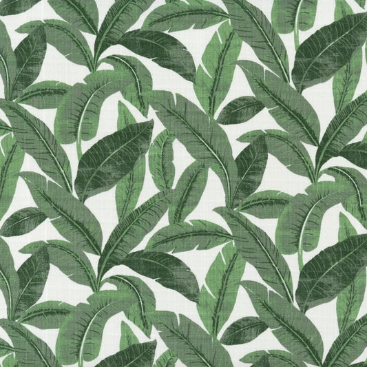 a repeating pattern of large green leaves on a white background.